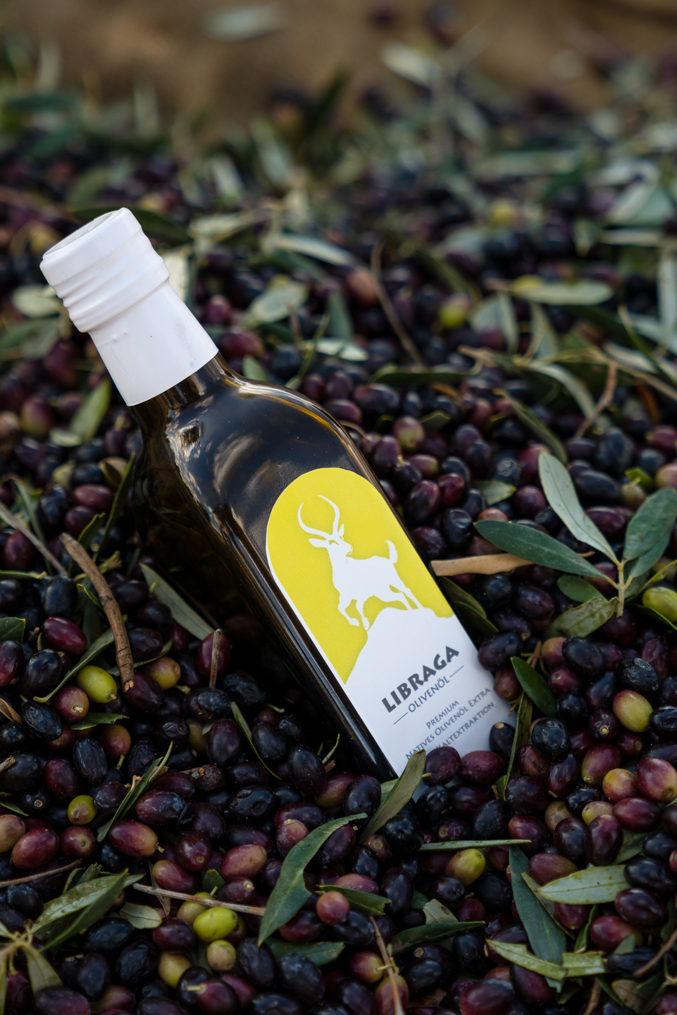 Olive Oil Pour